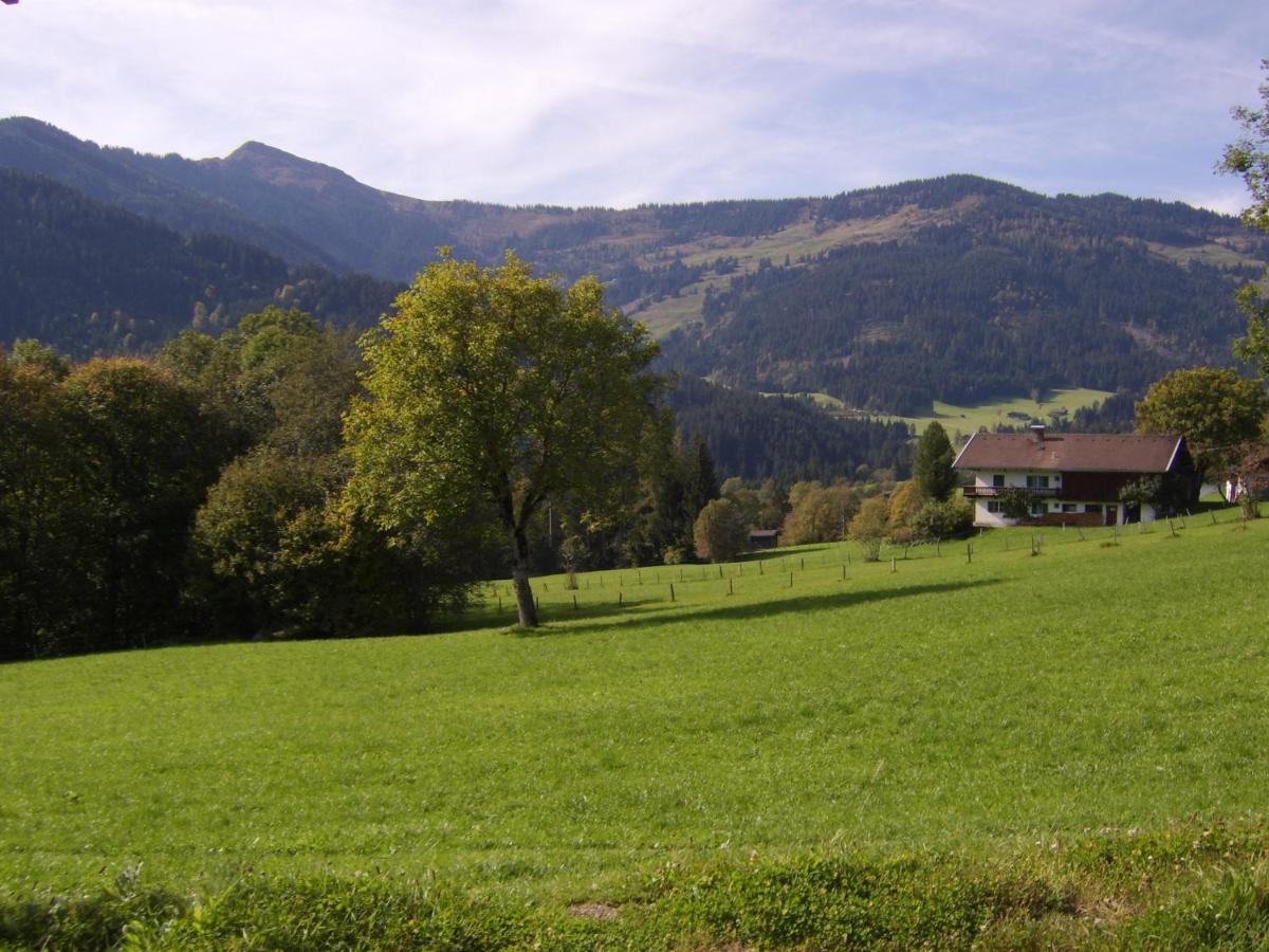 Schrandl Apartment Penningberg Hopfgarten im Brixental Exterior photo