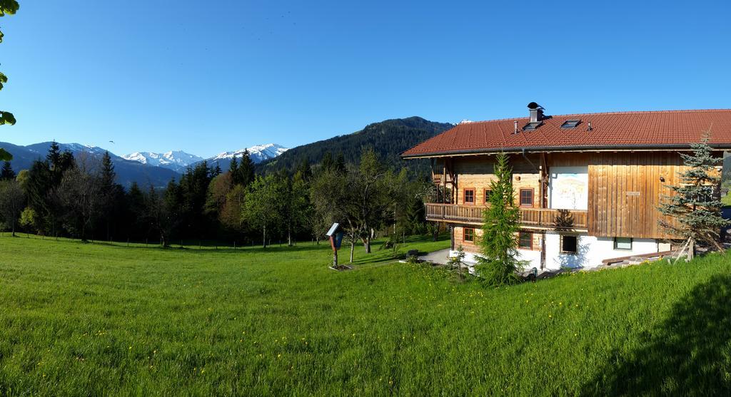 Schrandl Apartment Penningberg Hopfgarten im Brixental Exterior photo